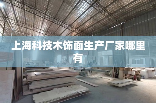 上海科技木饰面生产厂家哪里有